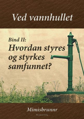 Ved vannhullet - Bind II: Hvordan styres og styrkes samfunnet? (E-bok)