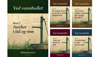 Ved vannhullet - Mimisbrunnrs samlede artikler som E-bøker