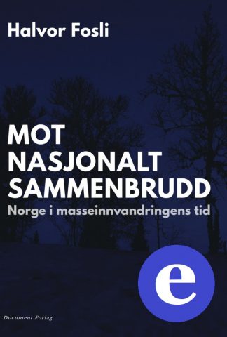 Mot nasjonalt sammenbrudd. Norge i masseinnvandringens tid (ebok)