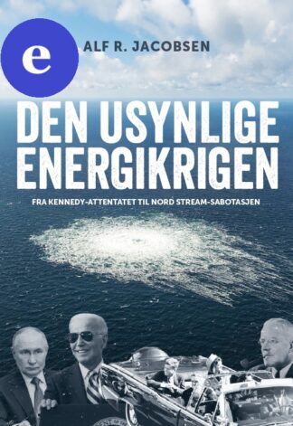 Den usynlige energikrigen (ebok)